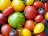 Bild: wikipedia, die Anzahl der Tomatensorten werden auf 10.000 geschätzt