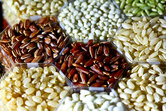 Bild: IRRI; die Anzahl der Reissorten wird auf 120.000 geschätzt